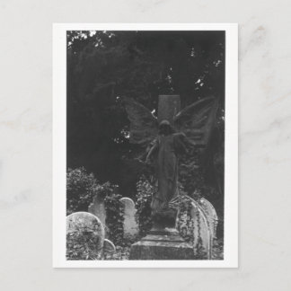 Angel Statue Old Cemetery Postcard