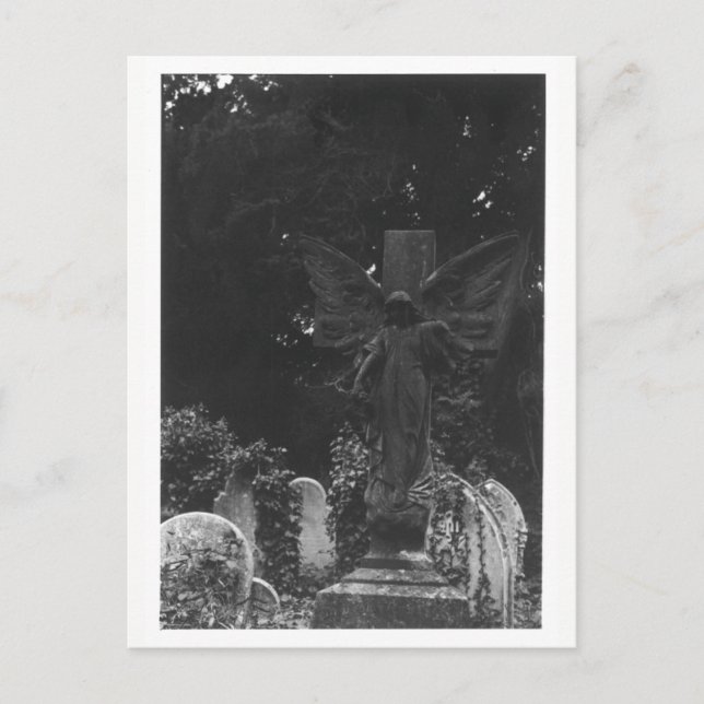 Angel Statue Old Cemetery Postcard (Front)