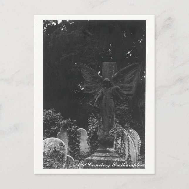 Angel Statue Old Cemetery Postcard Text (Front)