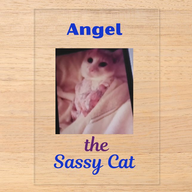 Angel the Sassy Cat Acrylic Invitations (Front)