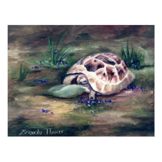 Angel Tortoise Postcard