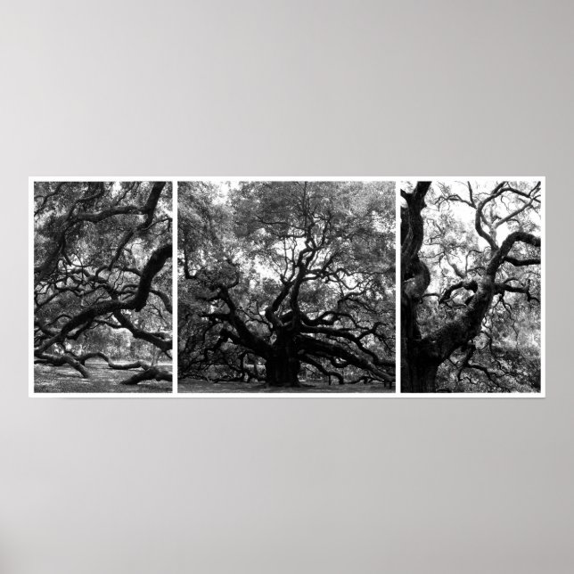 Angel Tree Collage Poster (Front)