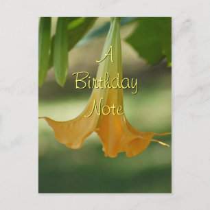 Angel Trumpet Postcard- customize any occasion Postcard