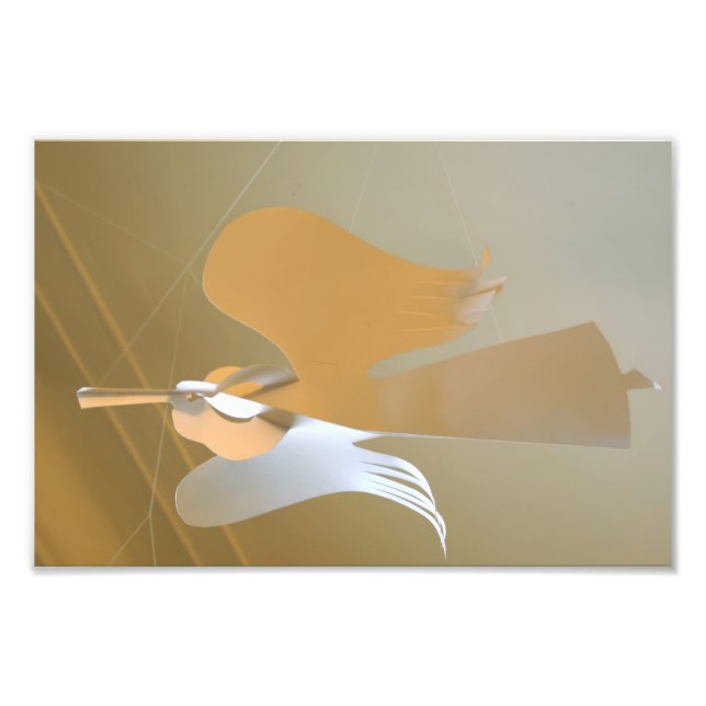 Angel trumpets photo print (Front)