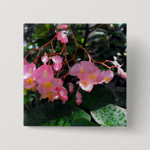 Angel Wing Begonias 2 Inch Square Button