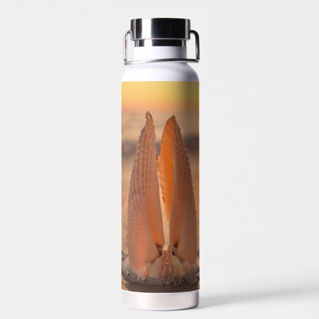 Angel Wing Shells Thermal Tumbler Water Bottle (Back)