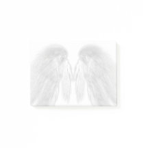ANGEL WINGS White - Grey Touched Feathers -