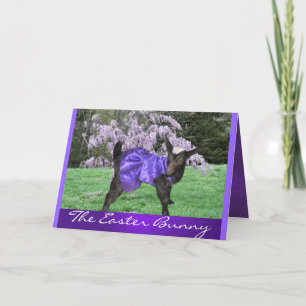 Angel & Wisteria2- customize any occasion Holiday Card
