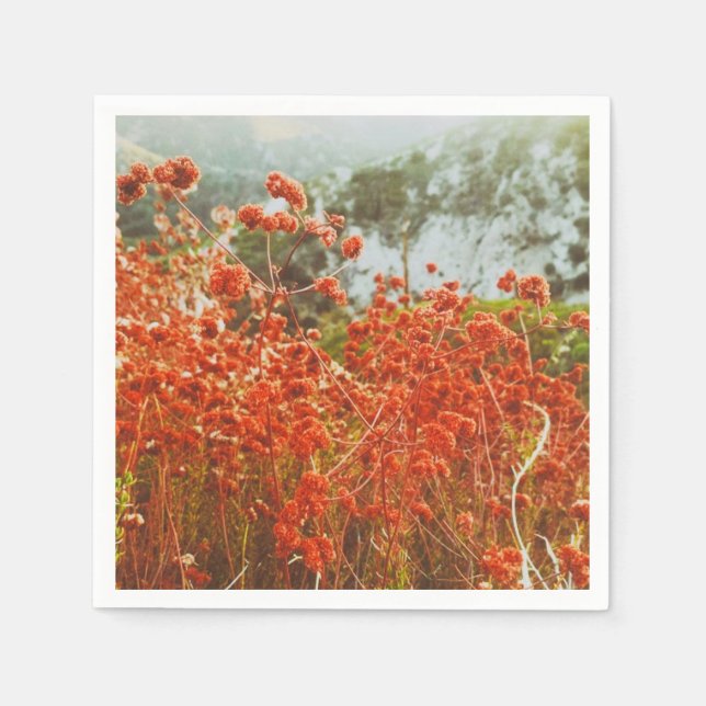 Angeles National Forest  Napkin (Front)