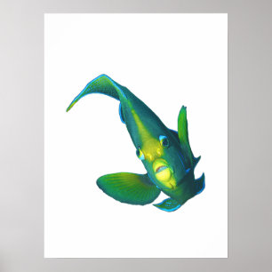 Angelfish - Abstract Design - Cut out of a photo Poster