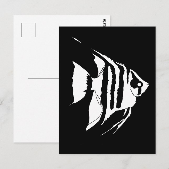 Angelfish. Black and white. Monochrome Postcard (Front/Back)