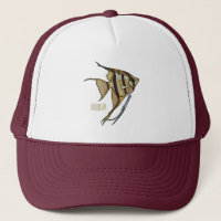 Angelfish cartoon illustration