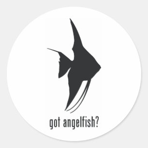 Angelfish Classic Round Sticker