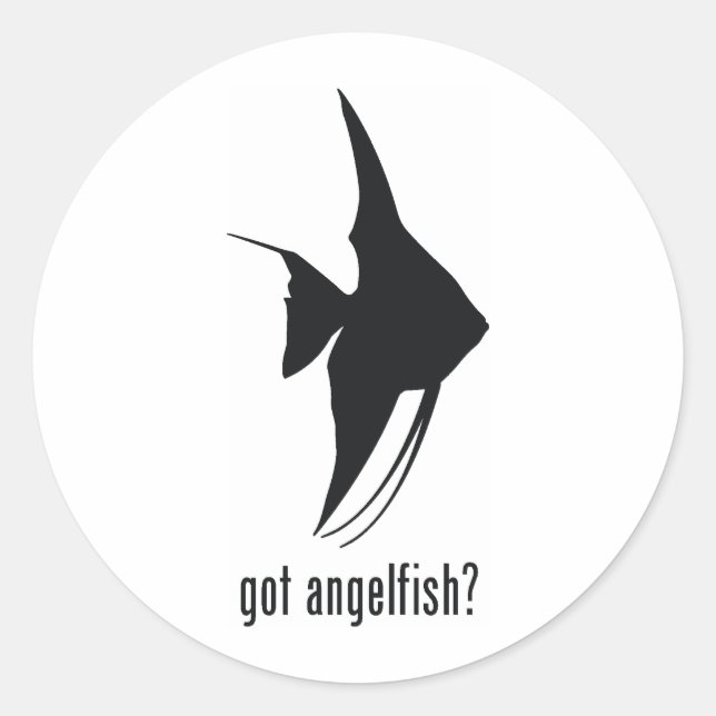 Angelfish Classic Round Sticker (Front)