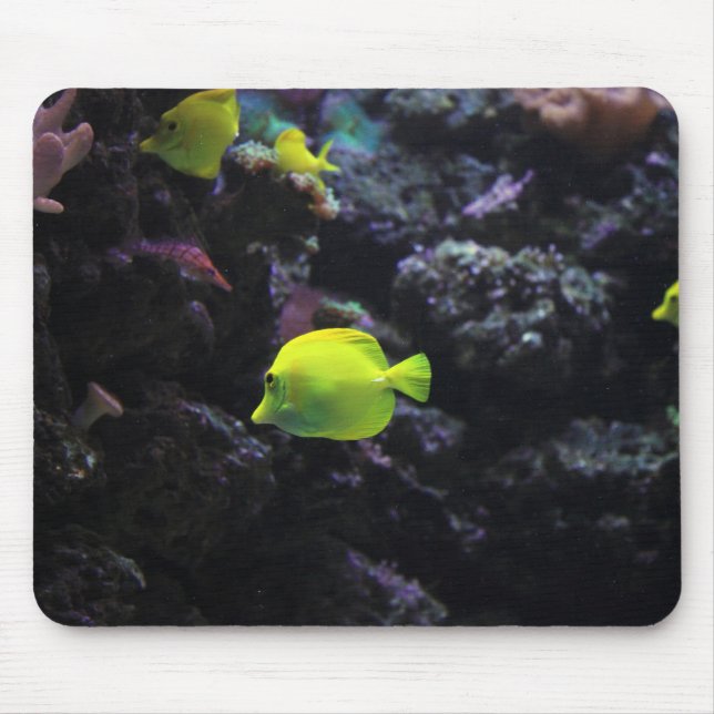 angelfish, fish, sea mouse pad (Front)