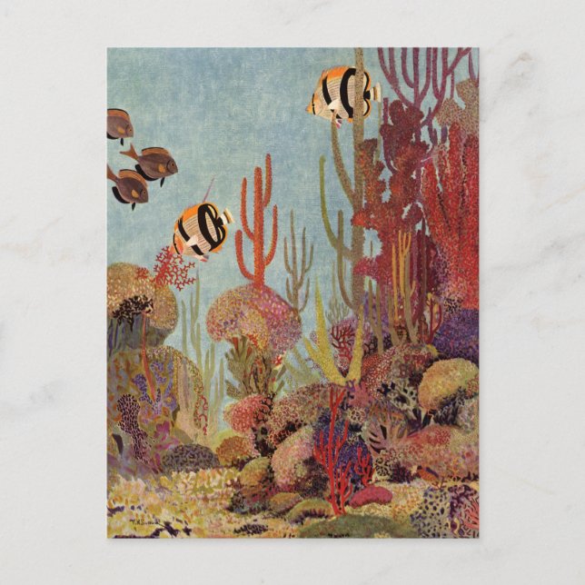 Angelfish in Coral, Vintage Tropical Fish in Ocean Postcard (Front)