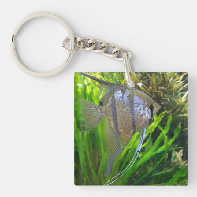 Angelfish Keychain (Front)