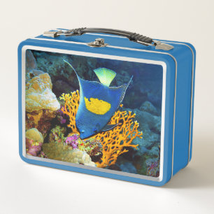 Angelfish picturesque in front of coral, Red Sea Metal Lunch Box