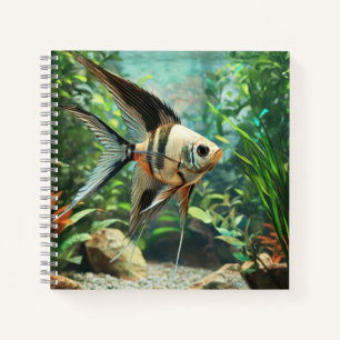 Angelfish swimming in freshwater aquarium notebook