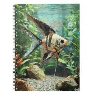 Angelfish swimming in freshwater aquarium notebook