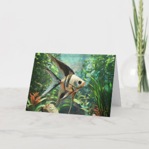 Angelfish swimming in freshwater aquarium thank you card