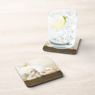 Angelic Dog and Cat on Cloud Coaster