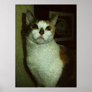 Angelic Sweetie Poster