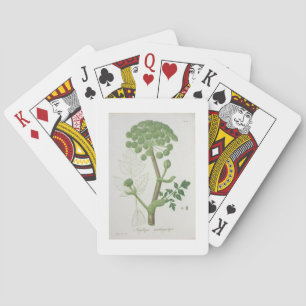 Angelica Archangelica from 'Phytographie Medicale' Playing Cards