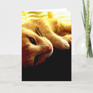 Angel's Eyes Card