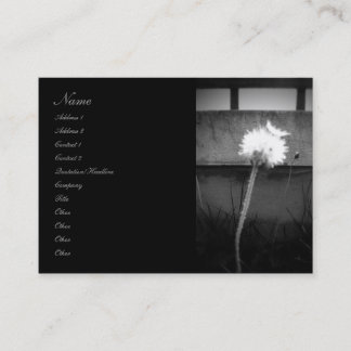 Angel's Kiss Business Card