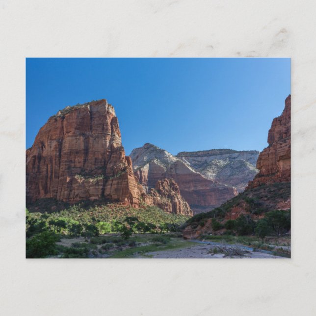 Angels Landing in Zion National Park Postcard (Front)
