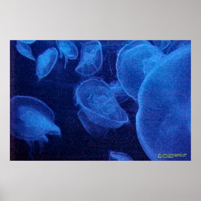 Angels of Light Poster (Front)