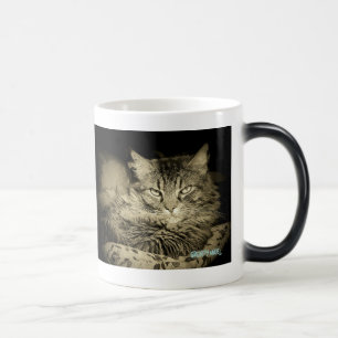 ANGER MANAGEMENT HAS FAILED Grumpy Angel Magic Mug