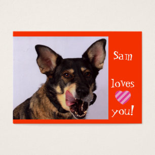 Anges de Sam sur une laisse