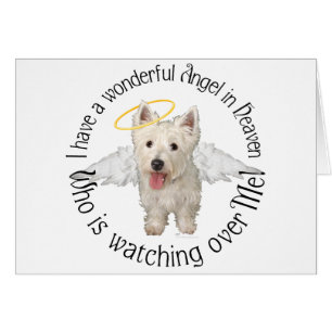 Anges gardiens des Westie