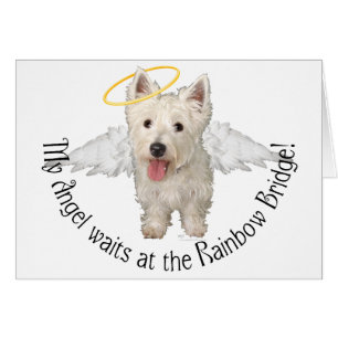 Anges gardiens Westie