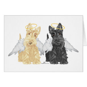 Anges Scottish Terrier