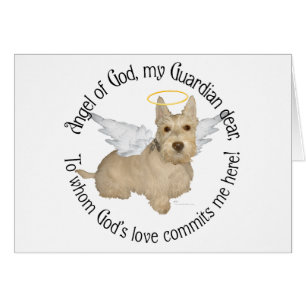 Anges Wheaten Scottish Terrier
