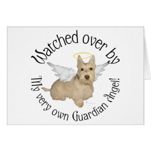 Anges Wheaten Scottish Terrier