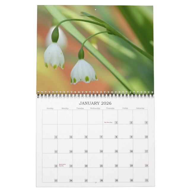 Angie's Garden 2008 Calendrier (Jan 2026)
