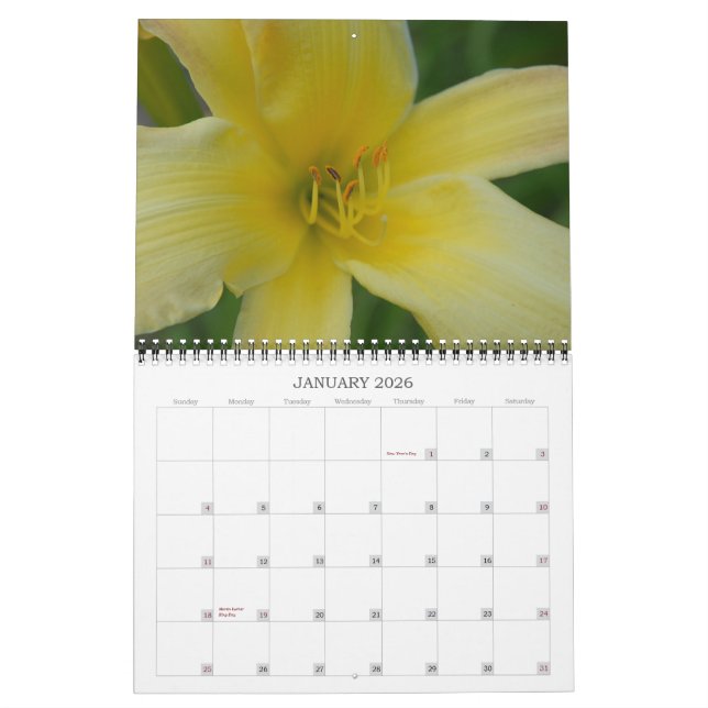Angie's Lilies Calendar (Jan 2026)
