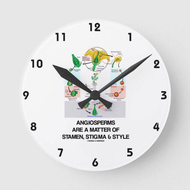 Angiosperms Are A Matter Of Stamen, Stigma & Style Round Clock (Front)