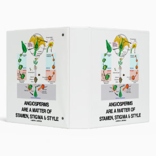 Angiosperms Are A Matter Of Stigma Stamen & Style Binder