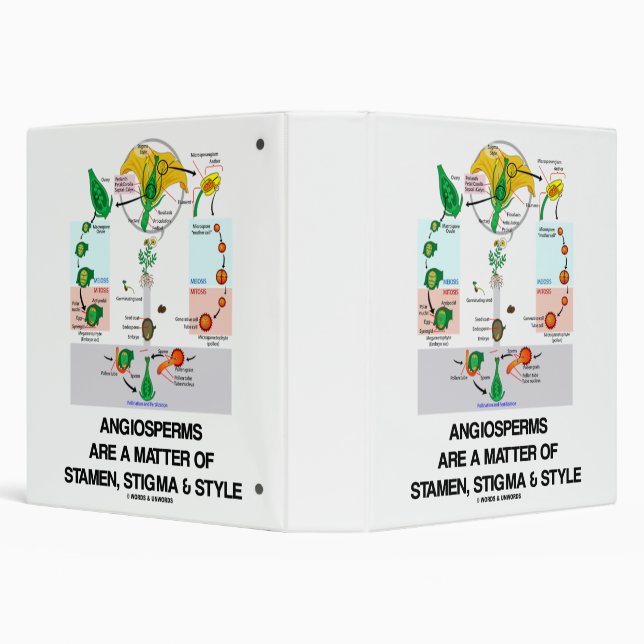 Angiosperms Are A Matter Of Stigma Stamen & Style Binder (Background)