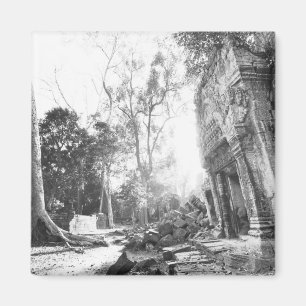 Angkor Cambodia, Details Ta Prohm Magnet