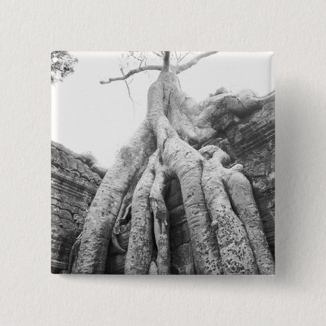 Angkor Cambodia, Tree Ta Prohm 2 Inch Square Button (Front)