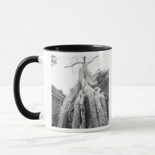 Angkor Cambodia, Tree Ta Prohm Mug