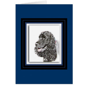 Anglais Cocker Spaniel