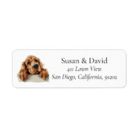 Anglais Cocker Spaniel Chien race Amateurs d'anima