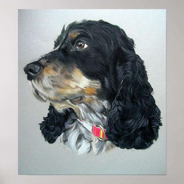 Anglais Cocker Spaniel Dog Poster Imprimer (Devant)